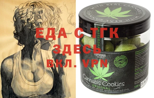 индика Абаза