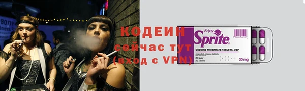 индика Абаза