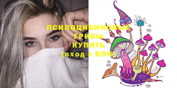 индика Абаза