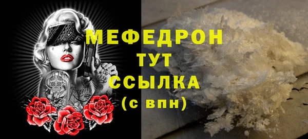 индика Абаза